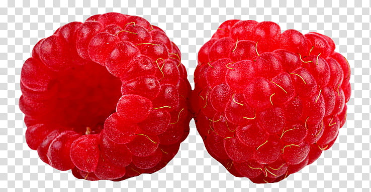 two red raspberries transparent background PNG clipart