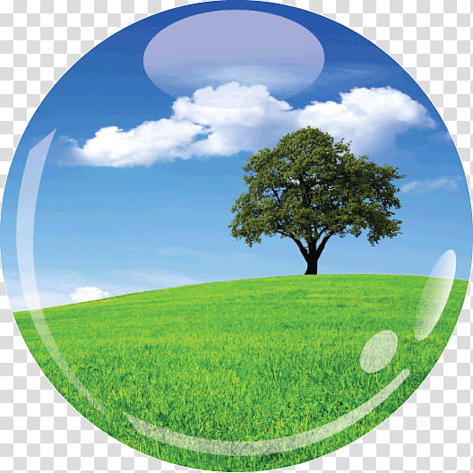 Green Grass, Landscape, Nature, Canvas, Sky, Tree, Blue, Texture transparent background PNG clipart