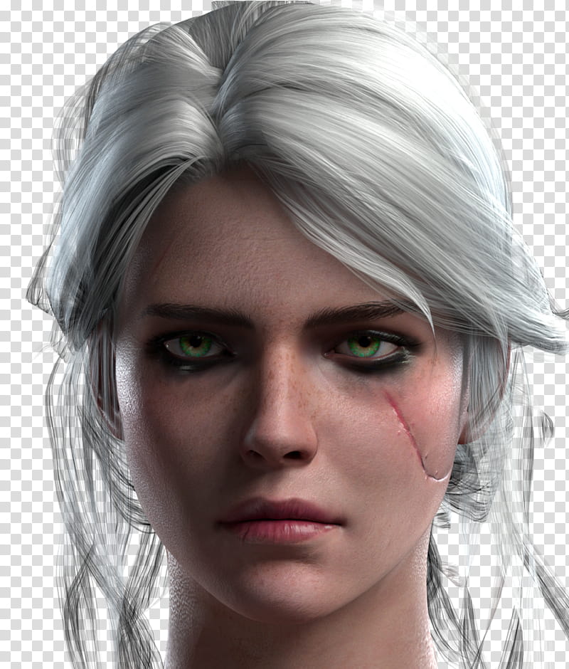 Silver, Witcher 3 Wild Hunt, Geralt Of Rivia, Ciri, Video Games, Character, Yennefer, Fan Art transparent background PNG clipart