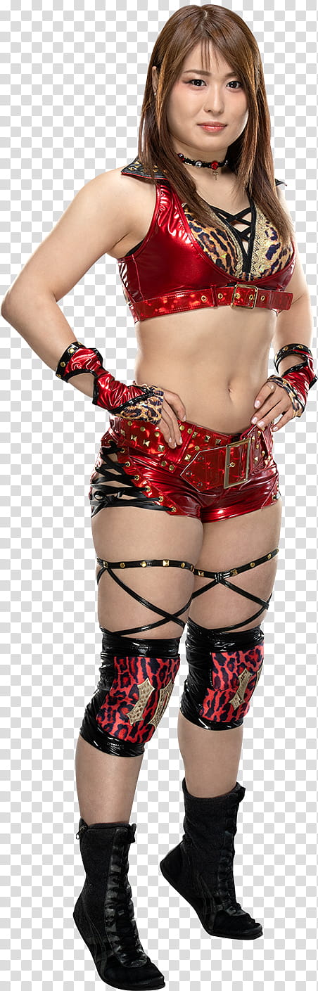 Io Shirai  Stats transparent background PNG clipart