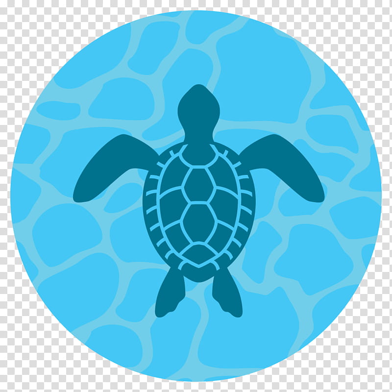 Sea Turtle, Green Sea Turtle, Hawksbill Sea Turtle, Spawn, Ocean, Tortoise, Earth, Aqua, Species transparent background PNG clipart