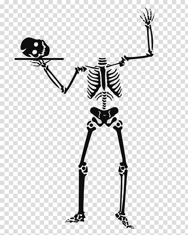 Skull, Skeleton, Human Skeleton, Bone, Black And White
, Joint, Line, Hand transparent background PNG clipart