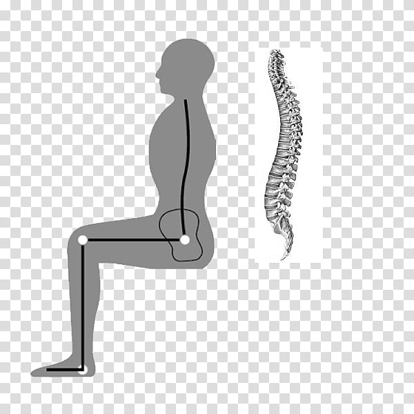 Human leg Hip Anatomy Vertebral column Chair, Shoulder, Angle, Line, Neck, Arm, Joint, Sitting transparent background PNG clipart