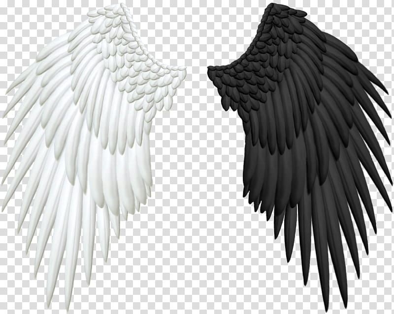 Good and Evil Angel Wings, white and black wings illustration transparent background PNG clipart