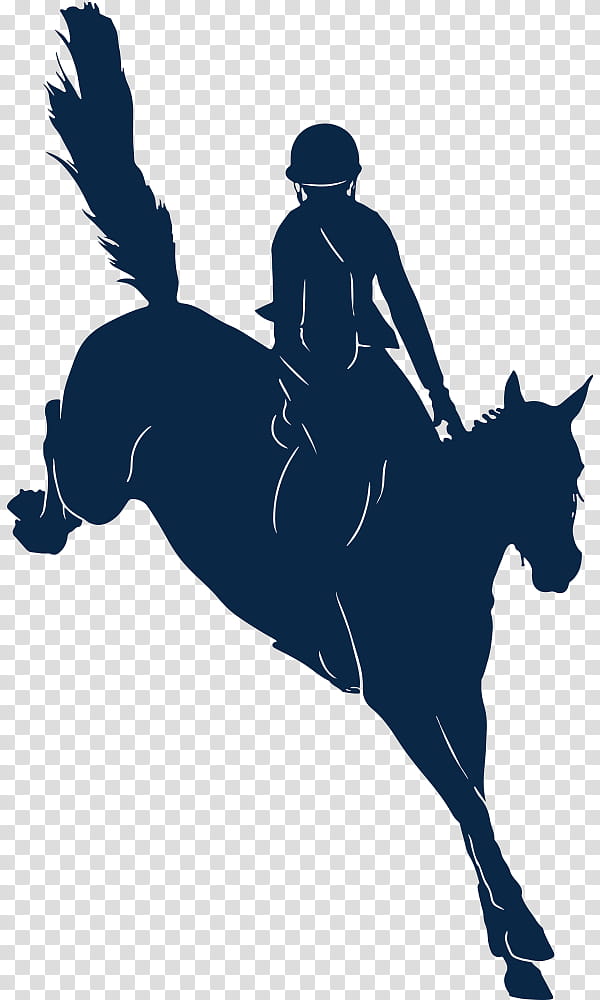 Horse, Arabian Horse, Stallion, Las Vegas, English Riding, Equestrian, United States Dressage Federation, Horse Show transparent background PNG clipart