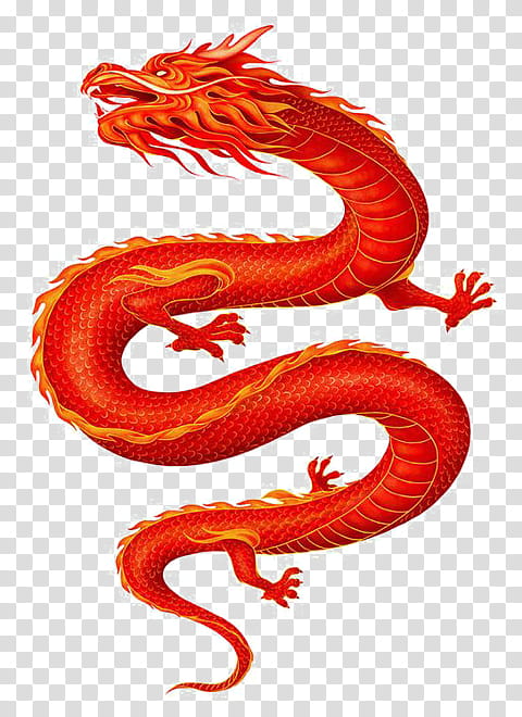 Dragon Drawing, Chinese Dragon, China, Japanese Dragon, Fantasy, Toothless transparent background PNG clipart