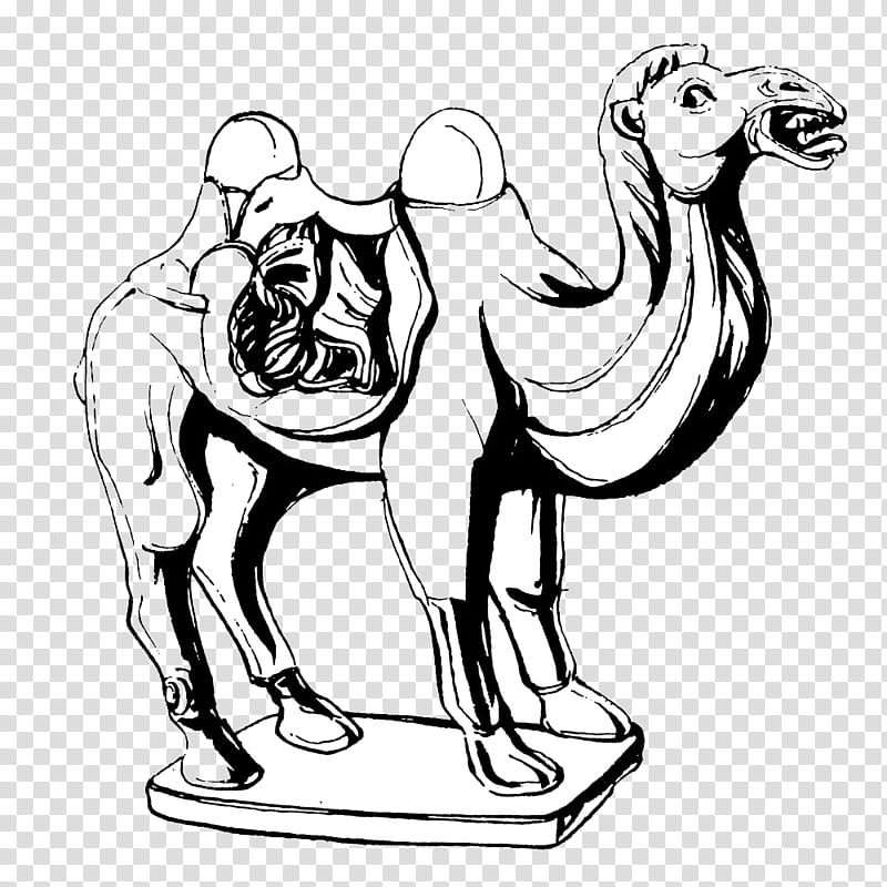 Train, Camel, Sculpture, Painting, Drawing, Croquis, Statue, Camel Train transparent background PNG clipart