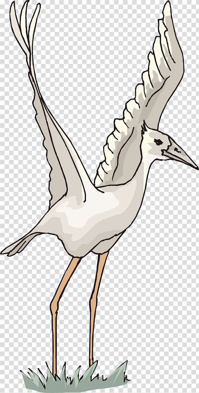 Crane Bird, Redcrowned Crane, White Stork, Common Crane, Poster, Beak, Wildlife, Cranelike Bird transparent background PNG clipart