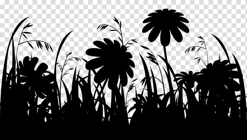 Palm Tree Silhouette, Asian Palmyra Palm, Palm Trees, Leaf, Computer, Flower, Branching, Borassus transparent background PNG clipart