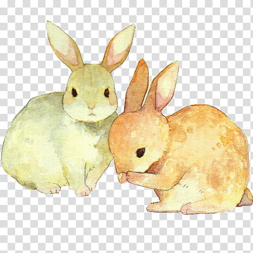 &#;s, painting of two gray and brown bunnies transparent background PNG clipart