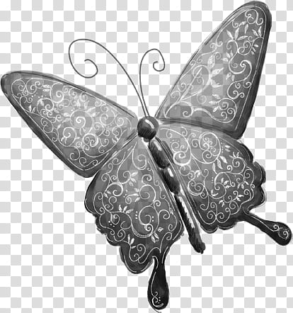 Butterflys PS Brushes, grey butterfly transparent background PNG clipart