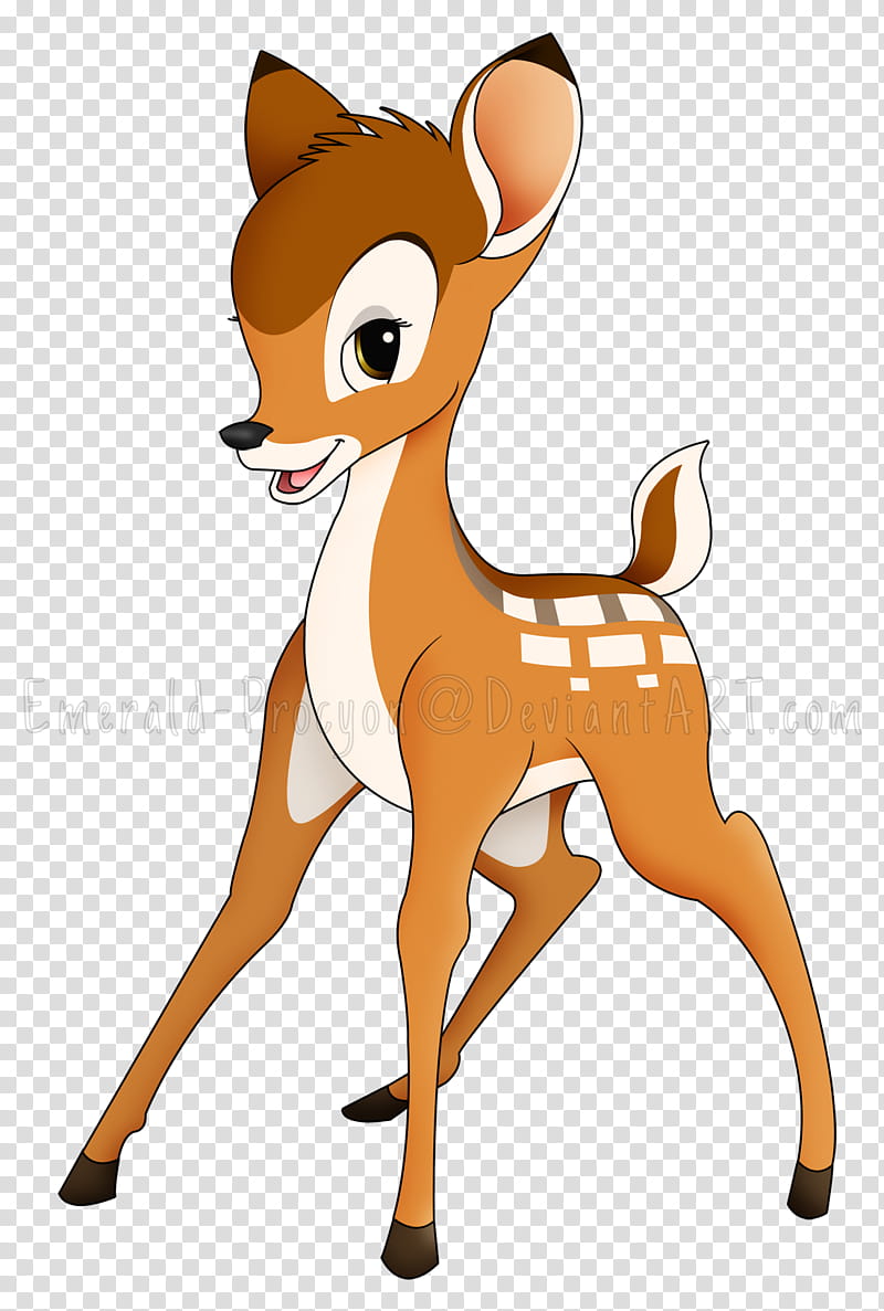 Bambi transparent background PNG clipart