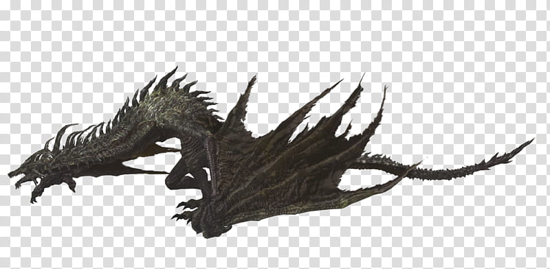 Lotric Wyverns, black dragon transparent background PNG clipart