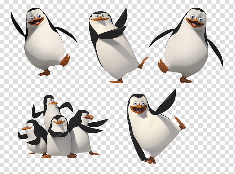 Penguin, Kowalski, Skipper, Rico, Charming Villain, Madagascar Operation Penguin, Penguins Of Madagascar, Bird transparent background PNG clipart