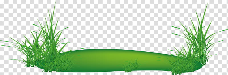 Green Grass, Logo, Flower, Meadow, Painting, Plant, Grass Family, Aquarium Decor transparent background PNG clipart