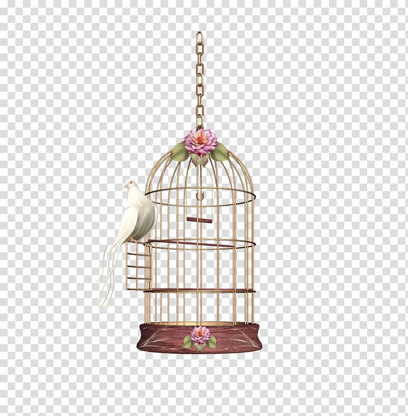 white bird beside birdcage transparent background PNG clipart