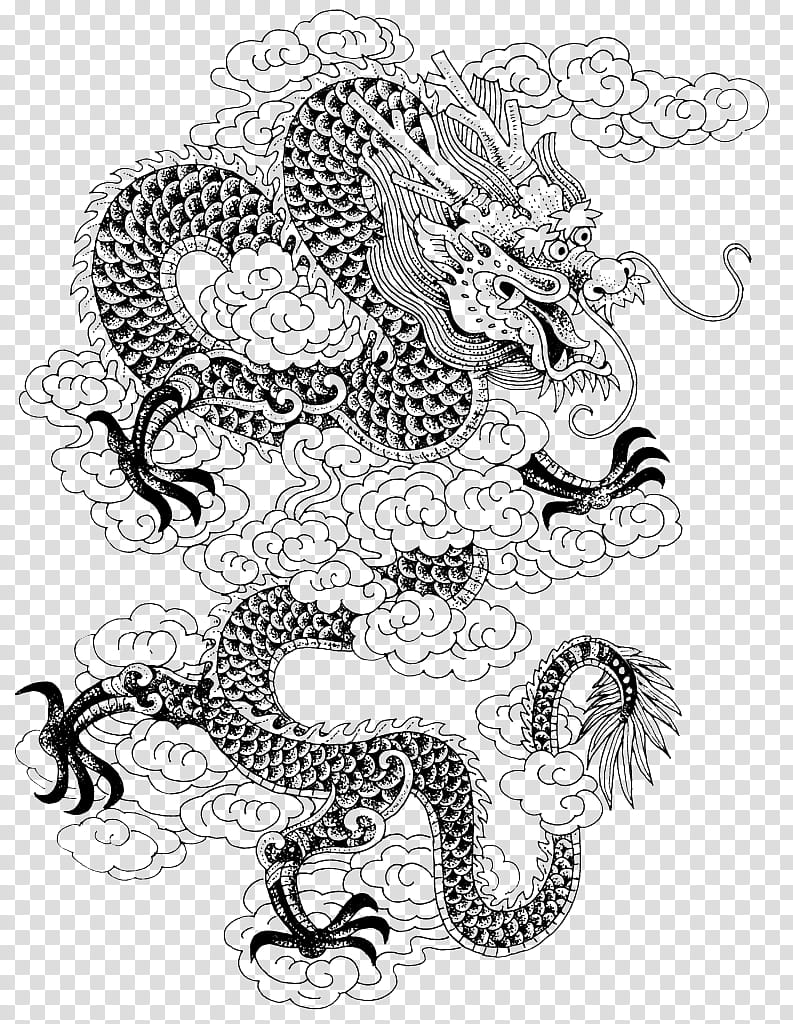 Chinese Dragon China Chinese Language Yellow Dragon Drawing Bruce Lee Line Art Coloring Book Transparent Background Png Clipart Hiclipart