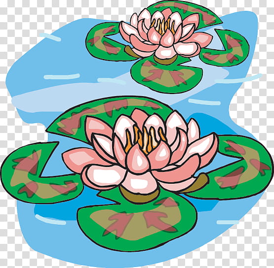 White Lily Flower, Pond, White Waterlily, Garden Pond, Water Lilies, Water Lily, Flora, Leaf transparent background PNG clipart