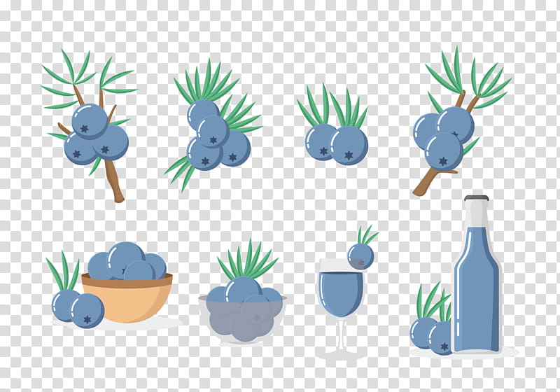 Flower Icon, Berries, Juniper Berry, Icon Design, Drawing, Artist, Plant, Flowerpot transparent background PNG clipart