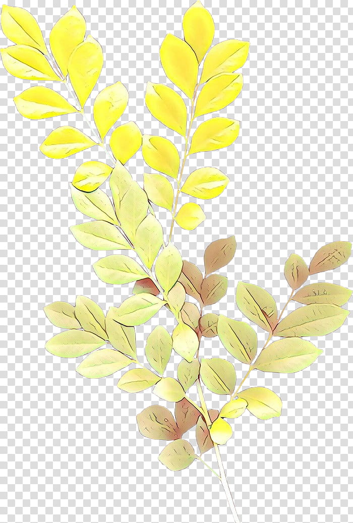 Palm Tree Drawing, Palm Trees, Frond, Leaf, Plants, Shrub, Branch, Drumstick Tree transparent background PNG clipart