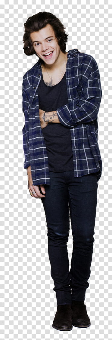 Harry Styles transparent background PNG clipart