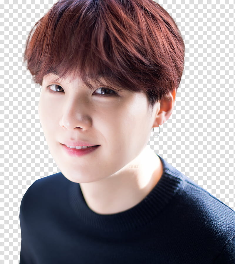 BTS XMAS DISPATCH  transparent background PNG clipart