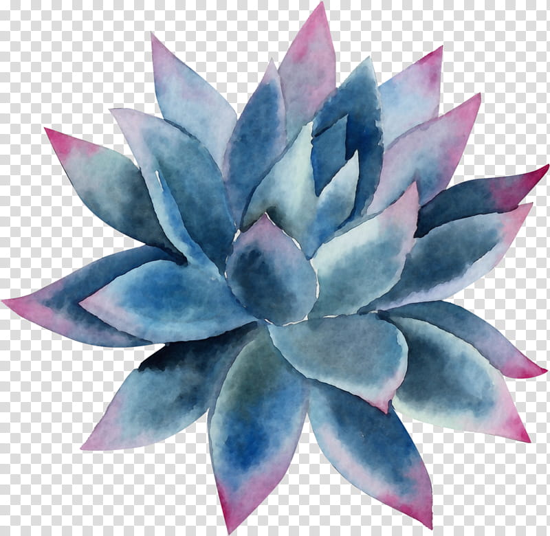 White Lily Flower, Watercolor, Paint, Wet Ink, Succulent Plant, Watercolor Painting, Cactus, Plants transparent background PNG clipart