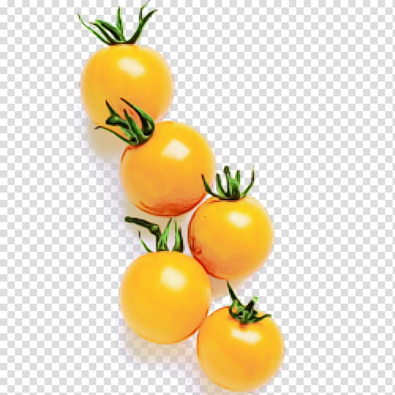 Tomato, Watercolor, Paint, Wet Ink, Natural Foods, Fruit, Solanum, Yellow transparent background PNG clipart