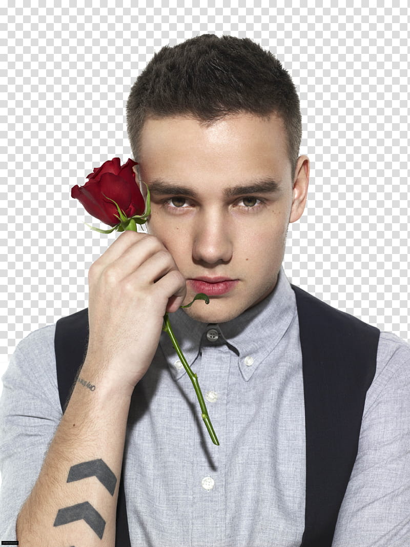 One Direction , Liam Payne holding rose transparent background PNG clipart