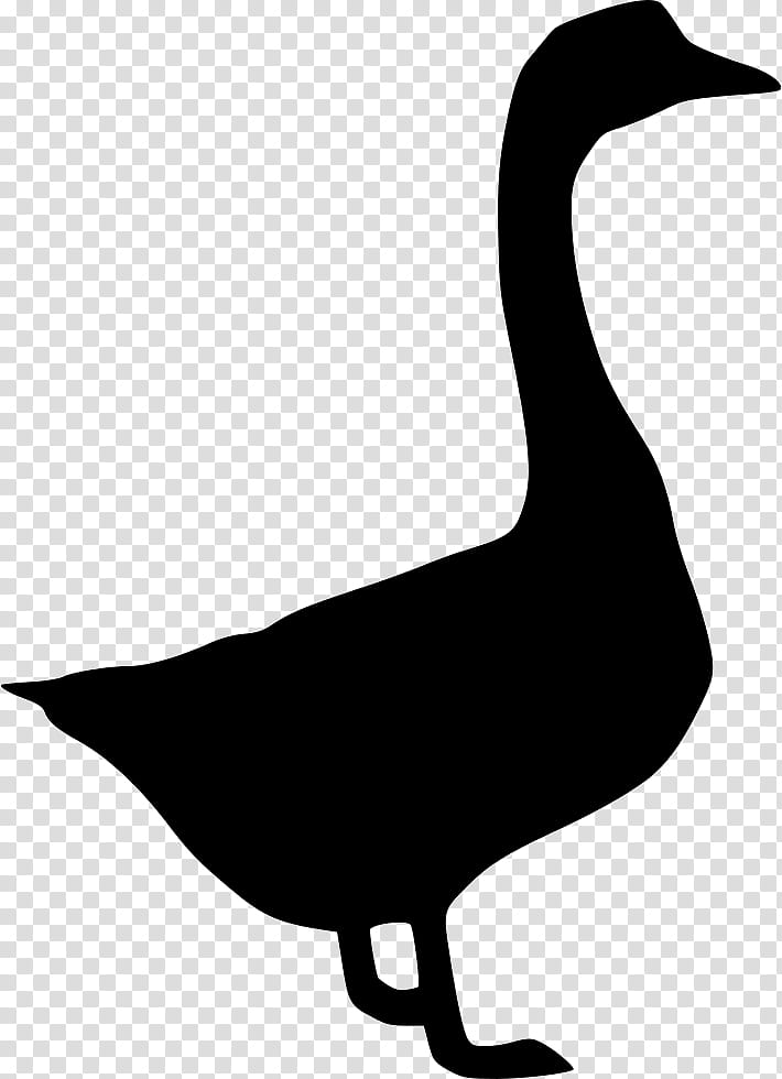 Bird Silhouette, Goose, Swans, Duck, Canada Goose, Beak, Water Bird, Ducks Geese And Swans transparent background PNG clipart