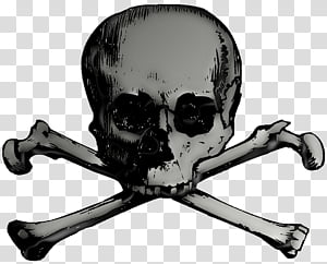skull and crossbones png transparent background