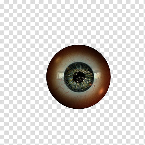 Texture Set  Eyeballs, blue and brown eye illustration\ transparent background PNG clipart
