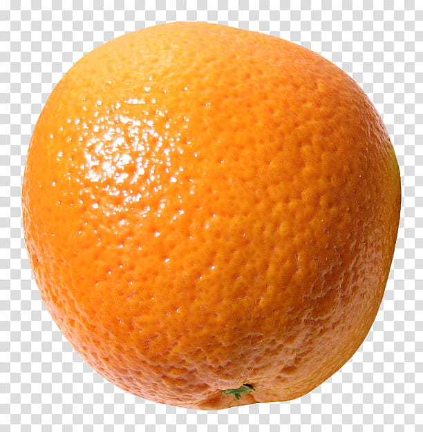 Lemon, Mandarin Orange, Tangerine, Blood Orange, Rangpur, Tangelo, Bitter Orange, Grapefruit transparent background PNG clipart