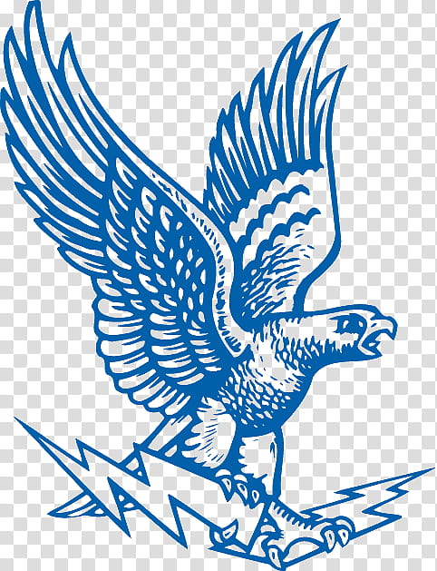 Philadelphia Eagles NFL Logo American Football Sports PNG, Clipart,  American Football, Artwork, Beak, Bird, Bird Of