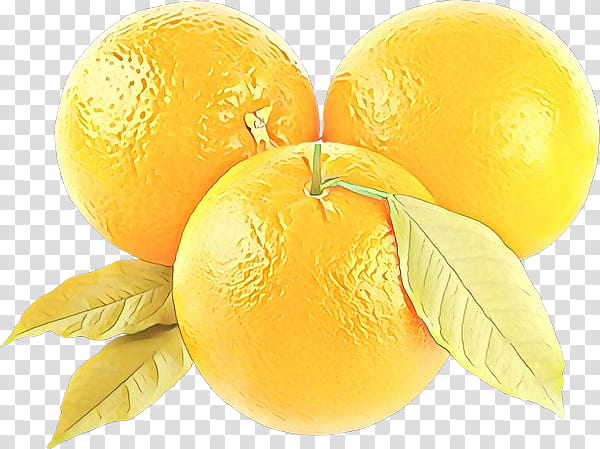 yellow fruit lemon citrus meyer lemon, Sweet Lemon, Plant, Grapefruit, Citric Acid, Food transparent background PNG clipart