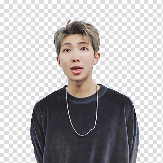 RM BTS transparent background PNG clipart