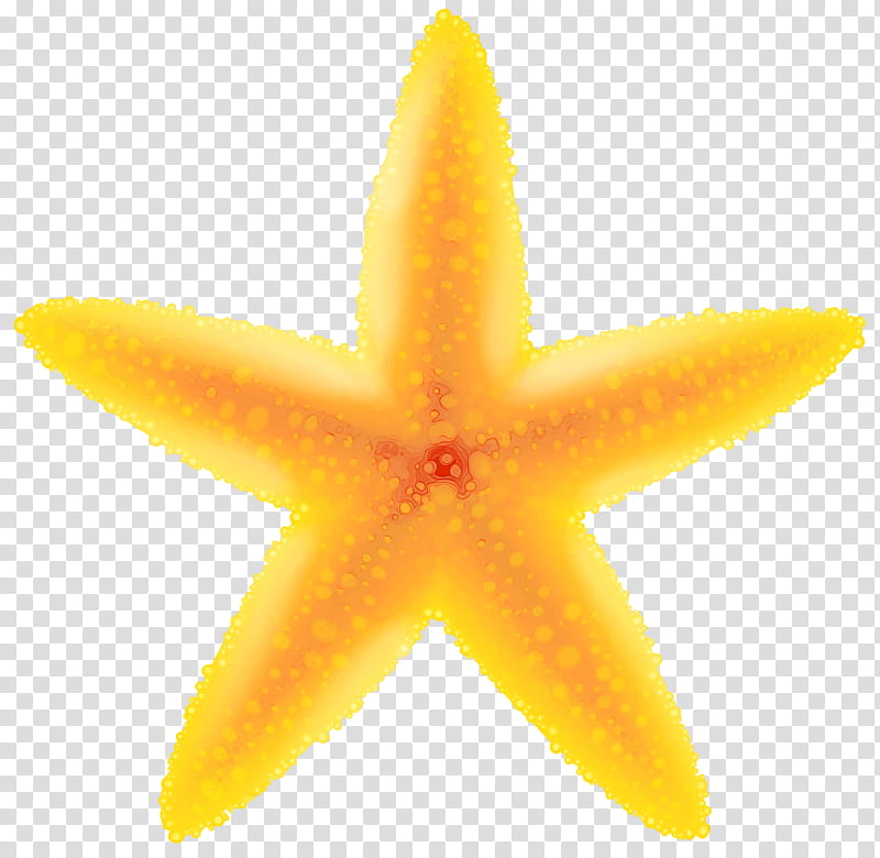 yellow plant starfruit fruit starfish, Watercolor, Paint, Wet Ink, Marine Invertebrates transparent background PNG clipart