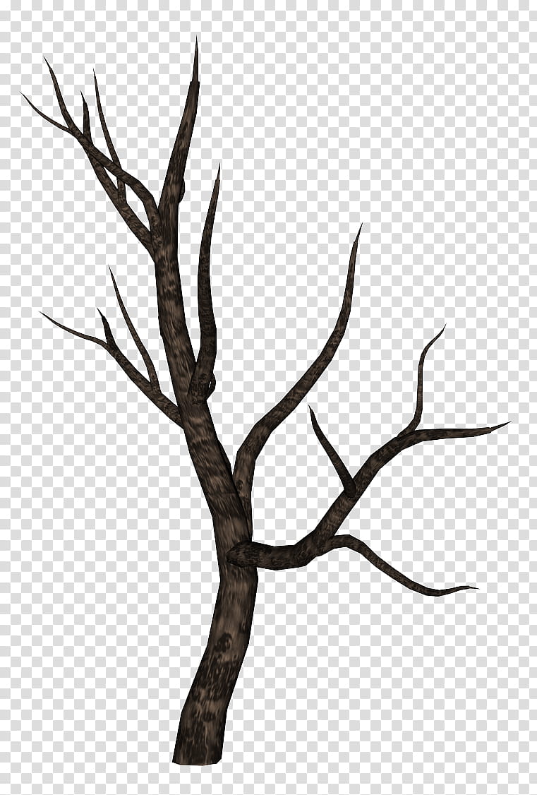 spooky tree  transparent background PNG clipart