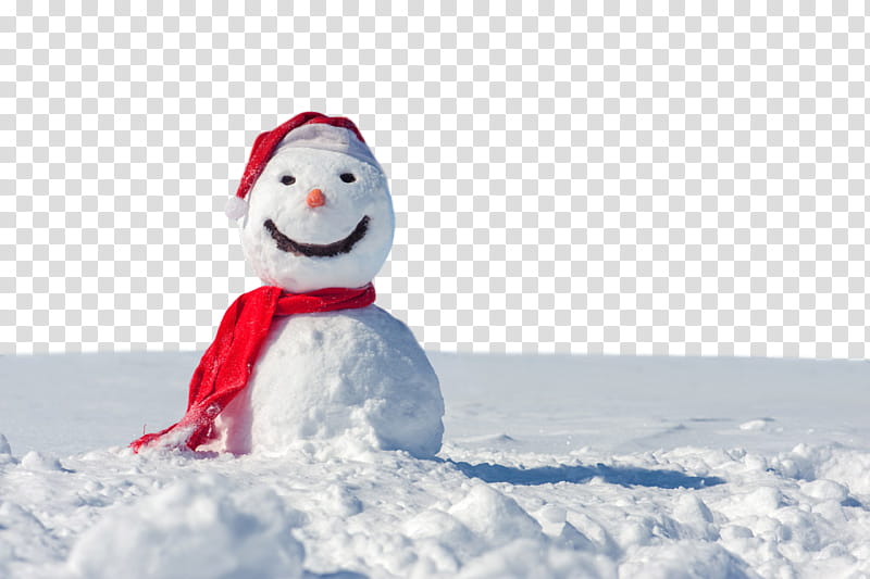 Snowman, Winter
, Freezing, Playing In The Snow transparent background PNG clipart