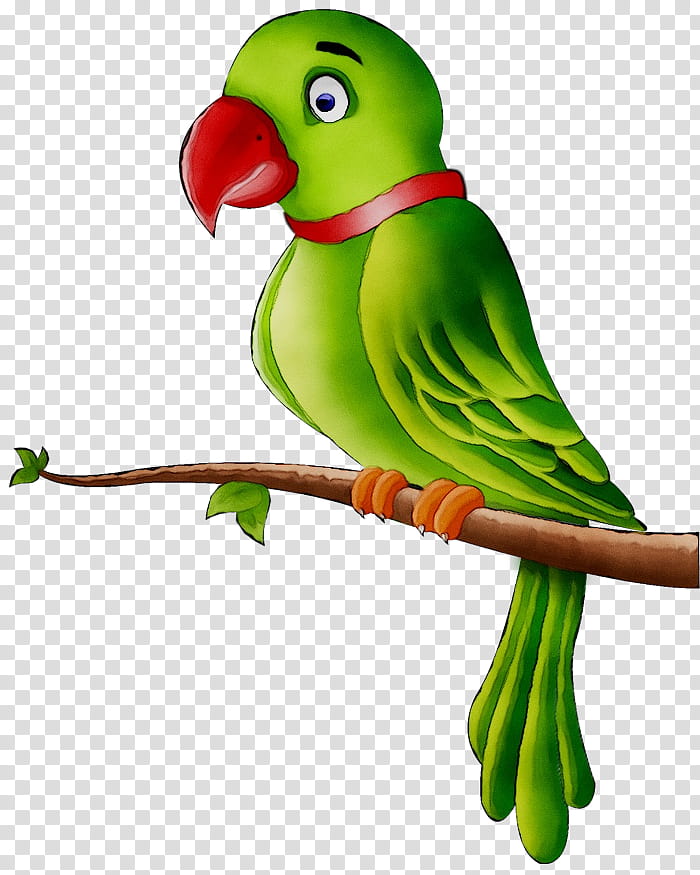 Bird Parrot, Macaw, Budgerigar, Amazon Parrot, True Parrot, Hyacinth Macaw, Great Green Macaw, Blueandyellow Macaw transparent background PNG clipart
