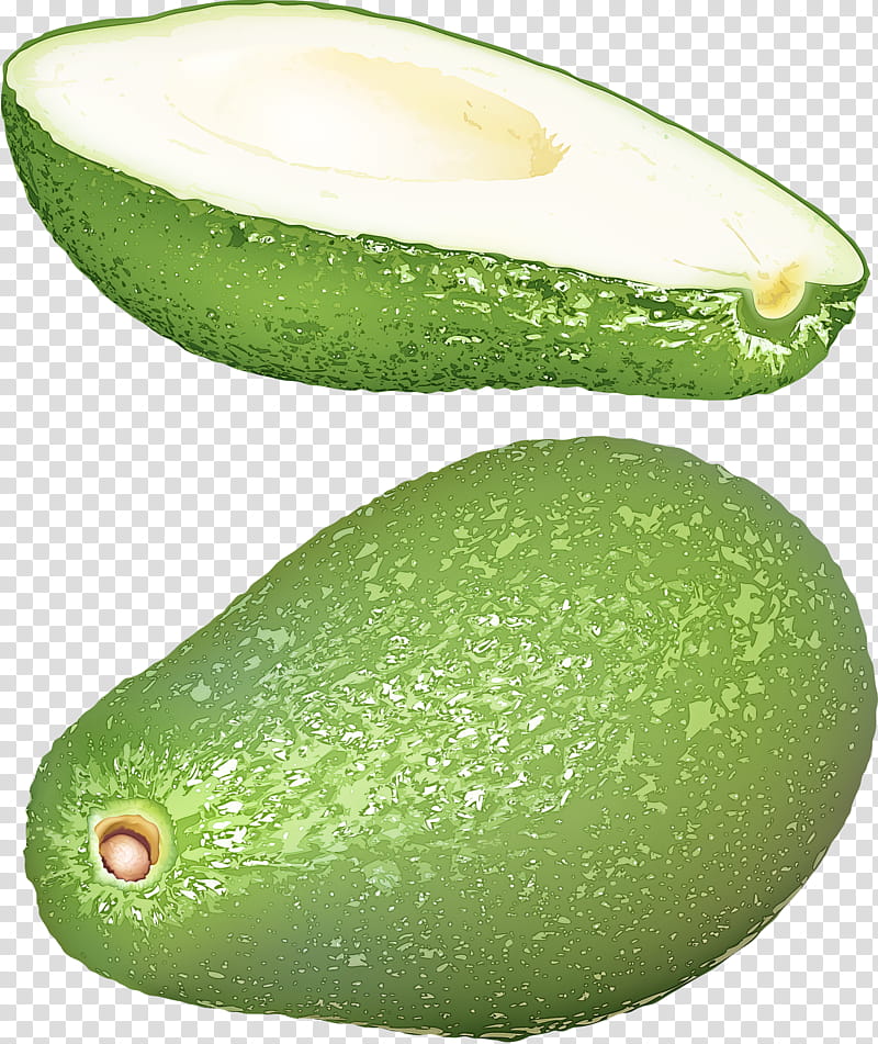 Avocado, Fruit, Plant, Food, Winter Melon, Cucumber, Vegetable transparent background PNG clipart