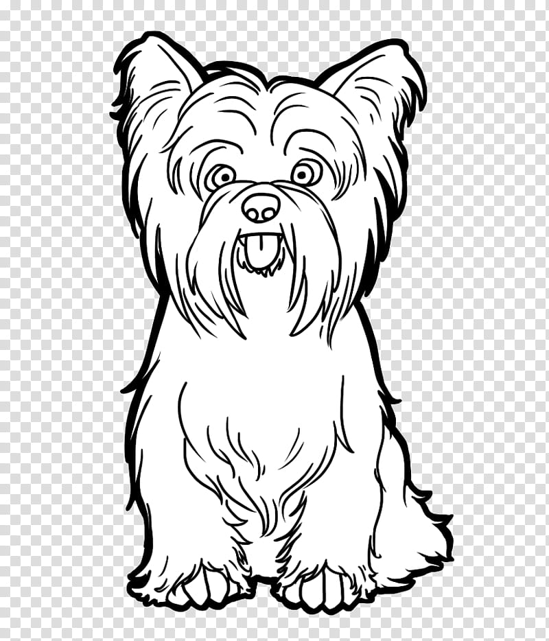 Book Drawing, Yorkshire Terrier, Scottish Terrier, West Highland White Terrier, Puppy, Coloring Book, Dog, Head transparent background PNG clipart