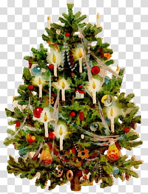 Christmas tree, Watercolor, Paint, Wet Ink, Christmas Decoration, Oregon Pine, Christmas Ornament, Christmas 
 transparent background PNG clipart thumbnail