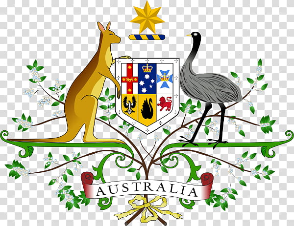 Kangaroo, Coat Of Arms Of Australia, National Symbols Of Australia, Coat Of Arms Of Western Australia, Coat Of Arms Of Venezuela, Quartering, Crest, Emblem transparent background PNG clipart