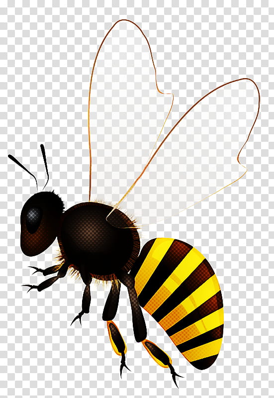 Bumblebee, Insect, Pest, Honeybee, Membranewinged Insect, Fly, Wasp, Eumenidae transparent background PNG clipart