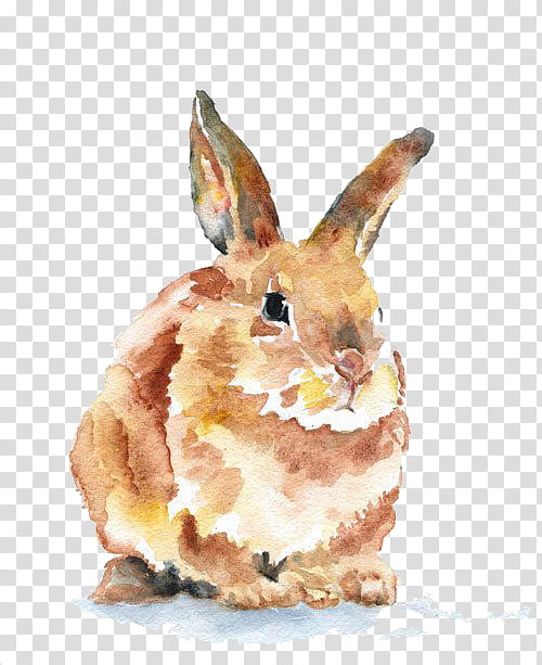 Watercolor Animal, Watercolor Animals, Cat, Watercolor Painting, Artist, Rabbit, 2018, Drawing transparent background PNG clipart