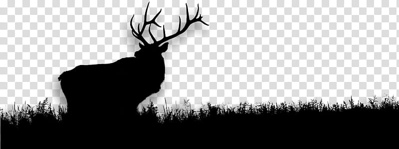 Silhouette Tree, Deer, Antler, Computer, Sky, Elk, Blackandwhite, Reindeer transparent background PNG clipart