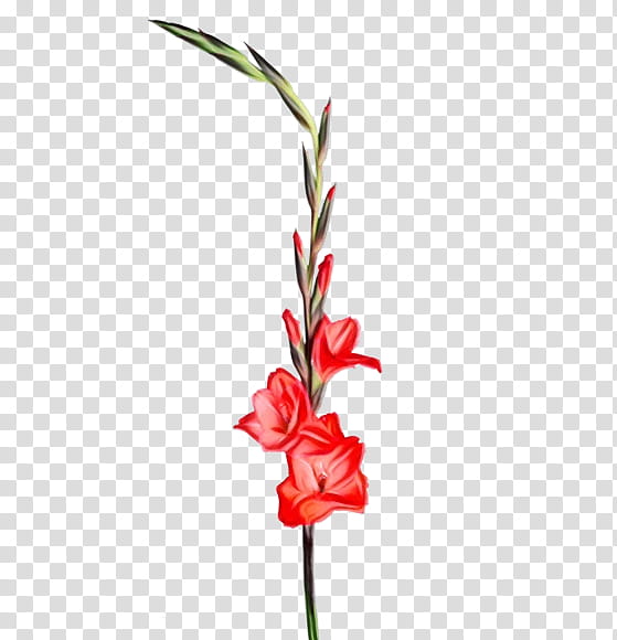 Artificial flower, Watercolor, Paint, Wet Ink, Flowering Plant, Gladiolus, Cut Flowers, Pedicel transparent background PNG clipart