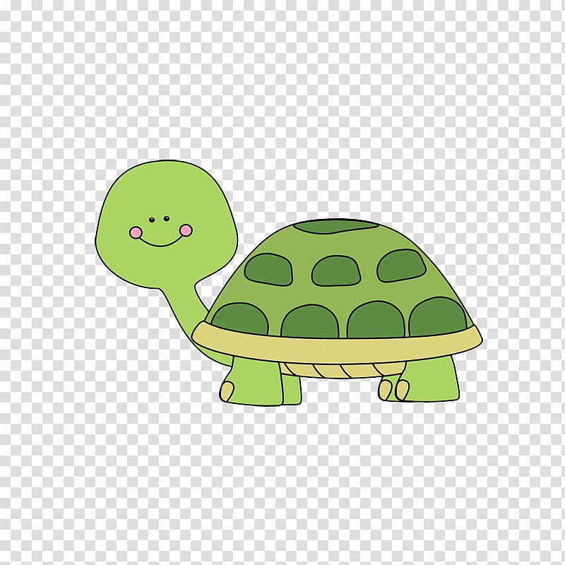 Green Grass, Turtle, Green Sea Turtle, Tortoise, Infant, Cuteness, Drawing, Child transparent background PNG clipart