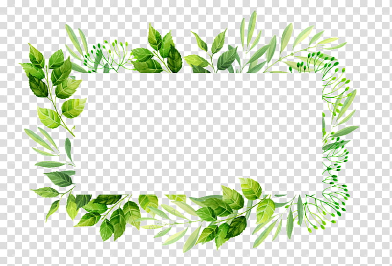 Green Leaf Watercolor, Frames, Leaf Frame, Painting, Watercolor Painting, Plant, Text, Grass transparent background PNG clipart